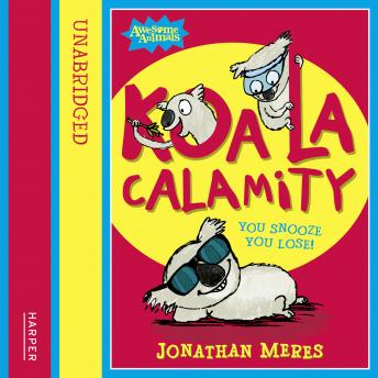 Koala Calamity sample.