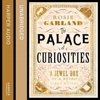 The Palace of Curiosities