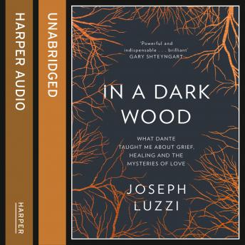 Discover Top Full Audiobooks in Biography & Memoir, Memoirs