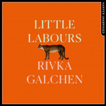 Little Labours, Rivka Galchen