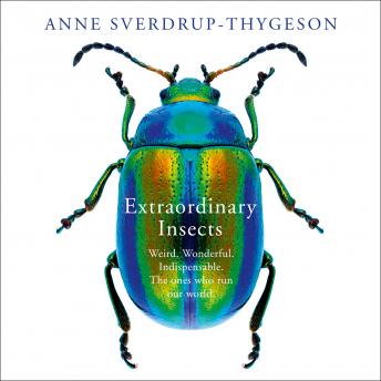 Get Hooked On A Ground-Breaking Full Audiobook On Your Commute.