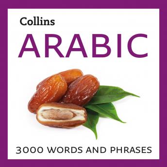 Learn Arabic: 3000 essential words and phrases