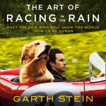 Art of Racing in the Rain, Audio book by Garth Stein