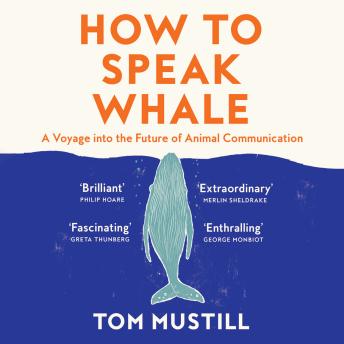 Discover The Full Audiobook Everyone Is Talking About — So Must-Listen!
