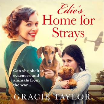 Edie’s Home for Strays