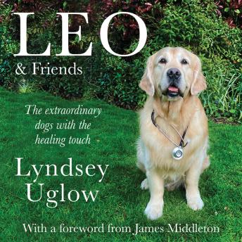 Leo & Friends: The Dogs with a Healing Touch