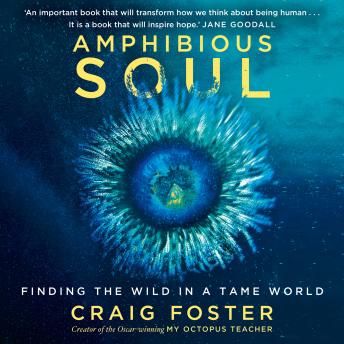 Feel: This Soul-Stirring Full Audiobook For Book-Lovers.