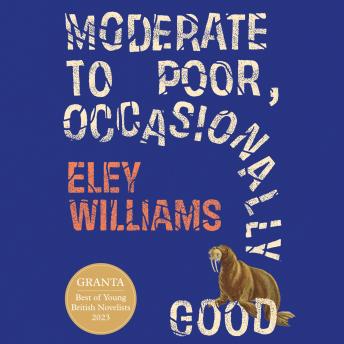 Enjoy Amazing Full Audiobooks in Literature, Literary Fiction