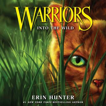 Explore The Next-Level Full Audiobook Now, Knowledge Hunters!