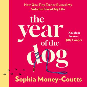 The Year of the Dog: How One Tiny Terrier Ruined My Sofa but Saved My Life