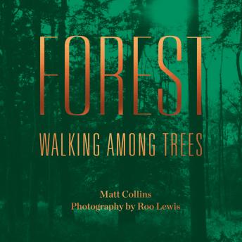 Forest: Walking among trees