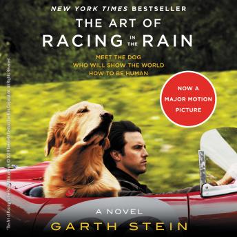 Art of Racing in the Rain, Garth Stein