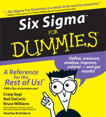 Six Sigma For Dummies sample.