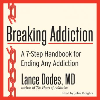 Download Breaking Addiction: A 7-Step Handbook for Ending Any Addiction by Lance M. Dodes