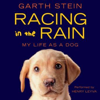Racing in the Rain: My Life as a Dog, Garth Stein