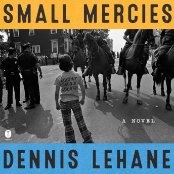 Small Mercies: A Novel