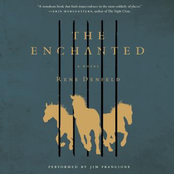 Enchanted: A Novel, Audio book by Rene Denfeld
