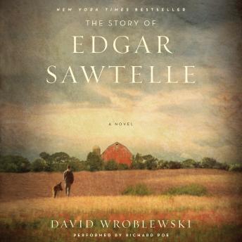 Story of Edgar Sawtelle, Audio book by David Wroblewski