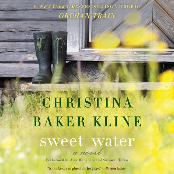 Sweet Water: A Novel