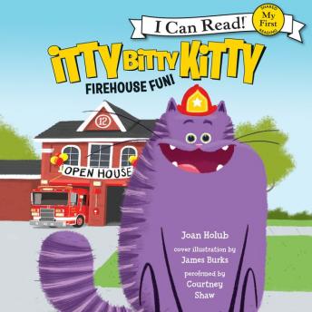 Itty Bitty Kitty: Firehouse Fun, Joan Holub