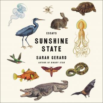 Sunshine State: Essays, Audio book by Sarah Gerard