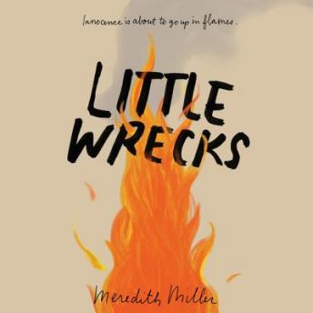 Download Little Wrecks by Meredith Miller