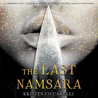Download Last Namsara by Kristen Ciccarelli