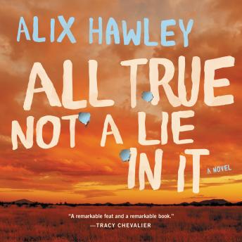 All True Not a Lie in It: A Novel