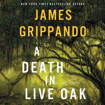 Death in Live Oak: A Jack Swyteck Novel sample.