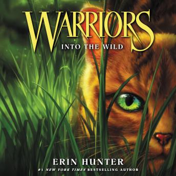 warriors 1 into the wild book