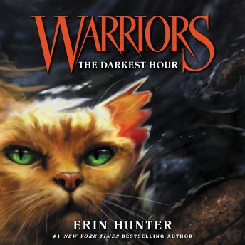 The Warriors #6: The Darkest Hour