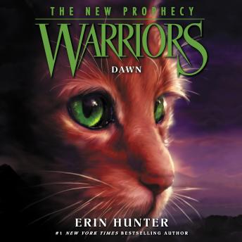 Download Warriors: The New Prophecy #3: Dawn