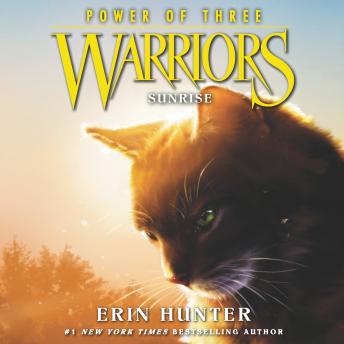 Download Warriors: Power of Three #6: Sunrise by Erin Hunter