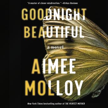 Goodnight Beautiful: A Novel, Aimee Molloy