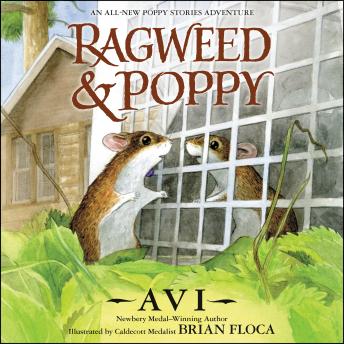 Ragweed and Poppy sample.