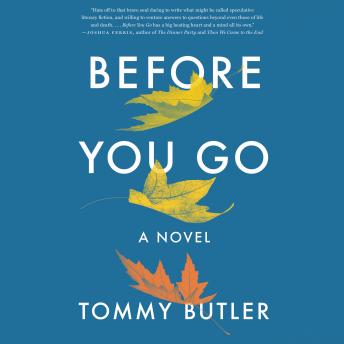 Before You Go: A Novel