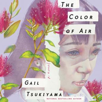 The Color of Air: A Novel