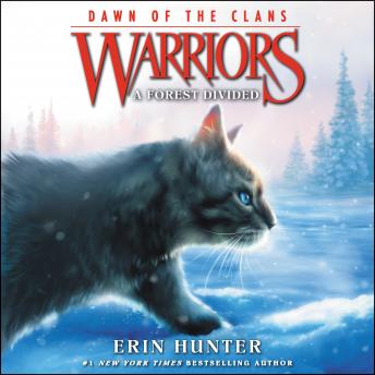 Download Warriors: Dawn of the Clans #5: A Forest Divided by Erin Hunter