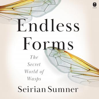 Feel A Full Audiobook That Is Simply Soul-Stirring.