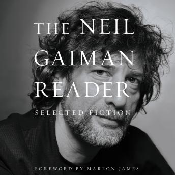 Neil Gaiman Reader: Selected Fiction sample.