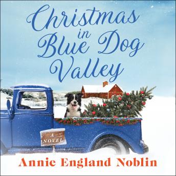 Christmas in Blue Dog Valley: A Novel