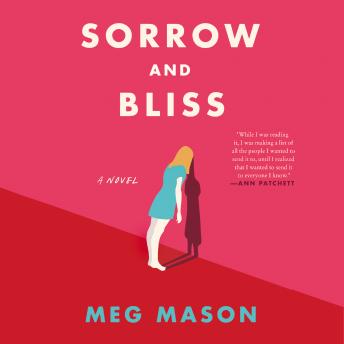 Sorrow and Bliss: A Novel