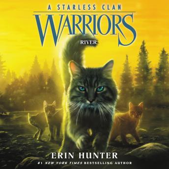 Download Warriors: A Starless Clan #1: River by Erin Hunter