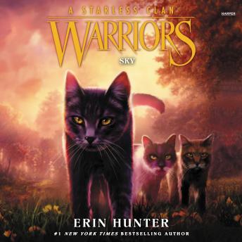 Warriors: A Starless Clan #2: Sky, Erin Hunter
