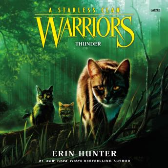 Thunder (Warriors: A Starless Clan, #4) by Erin Hunter