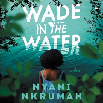 Wade in the Water: A Novel sample.