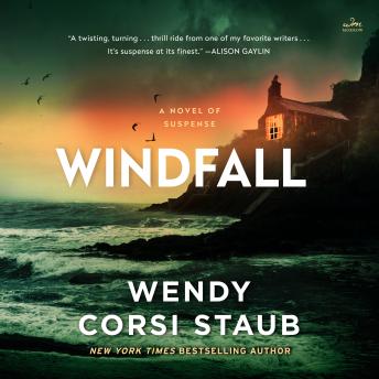 Windfall: A Novel of Suspense