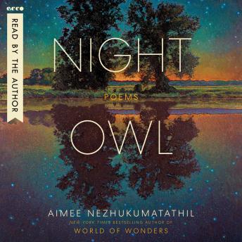 Night Owl: Poems