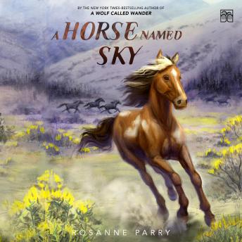 Download Horse Named Sky by Rosanne Parry