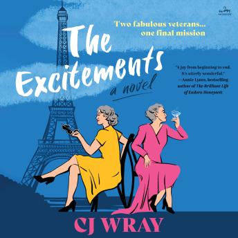 The Excitements: A Novel